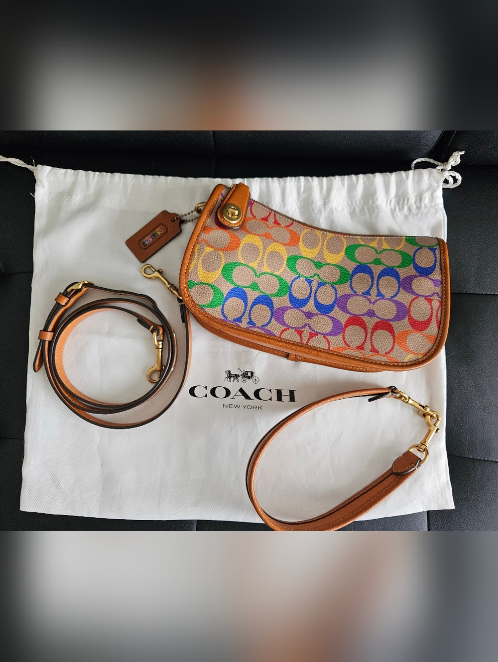 Authentic Limited Edition Coach Swinger Bag - PRICE FIRM - Picture 11 of 11